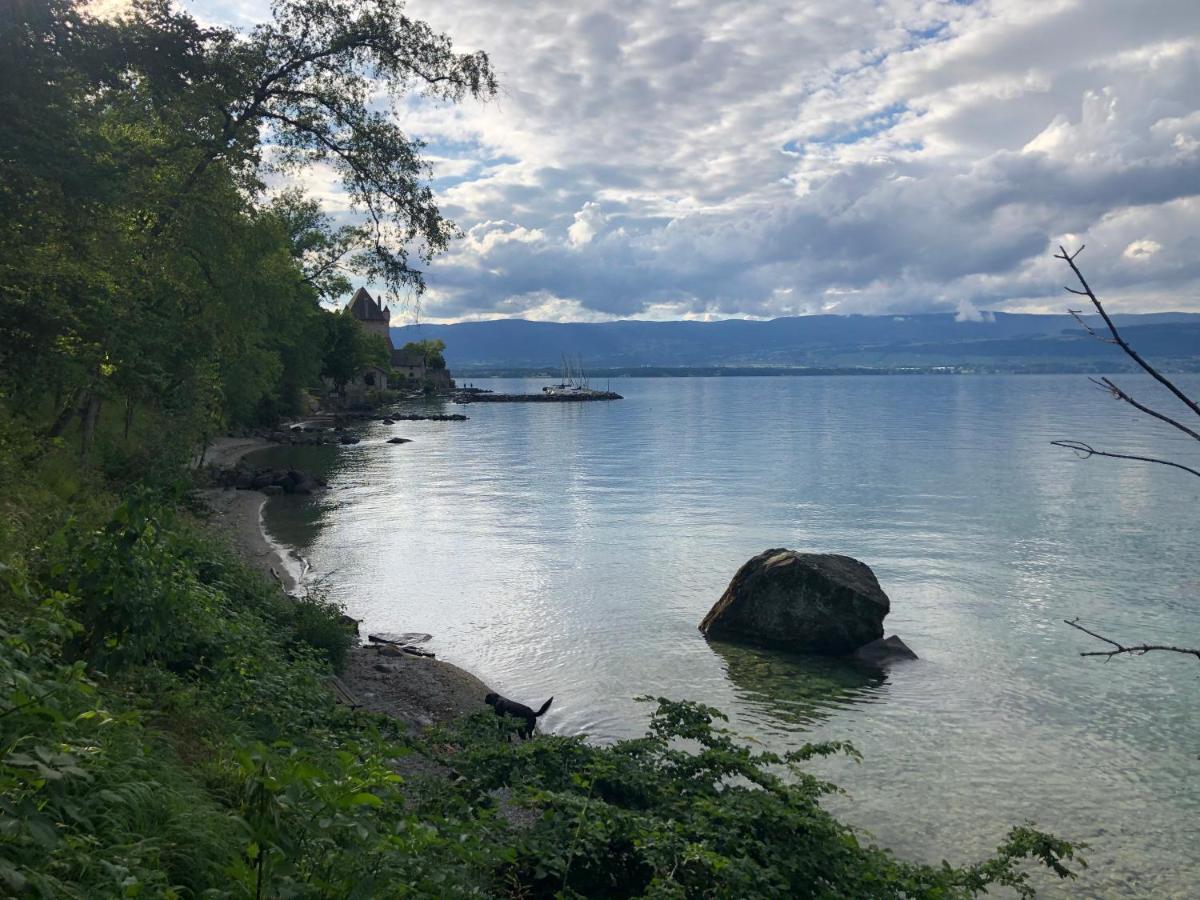 A Room With A View - Maisonnette Dans Bourg Medieval Au Bord Du Lac Leman Ивуар Экстерьер фото